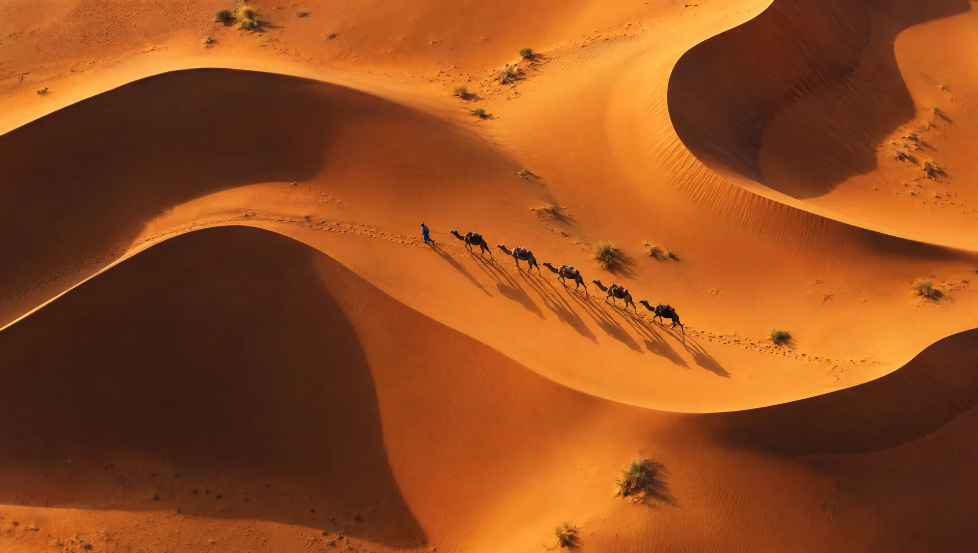 Vue aérienne des courbes de l’erg Chebbi, traversées par une caravane de dromadaires.